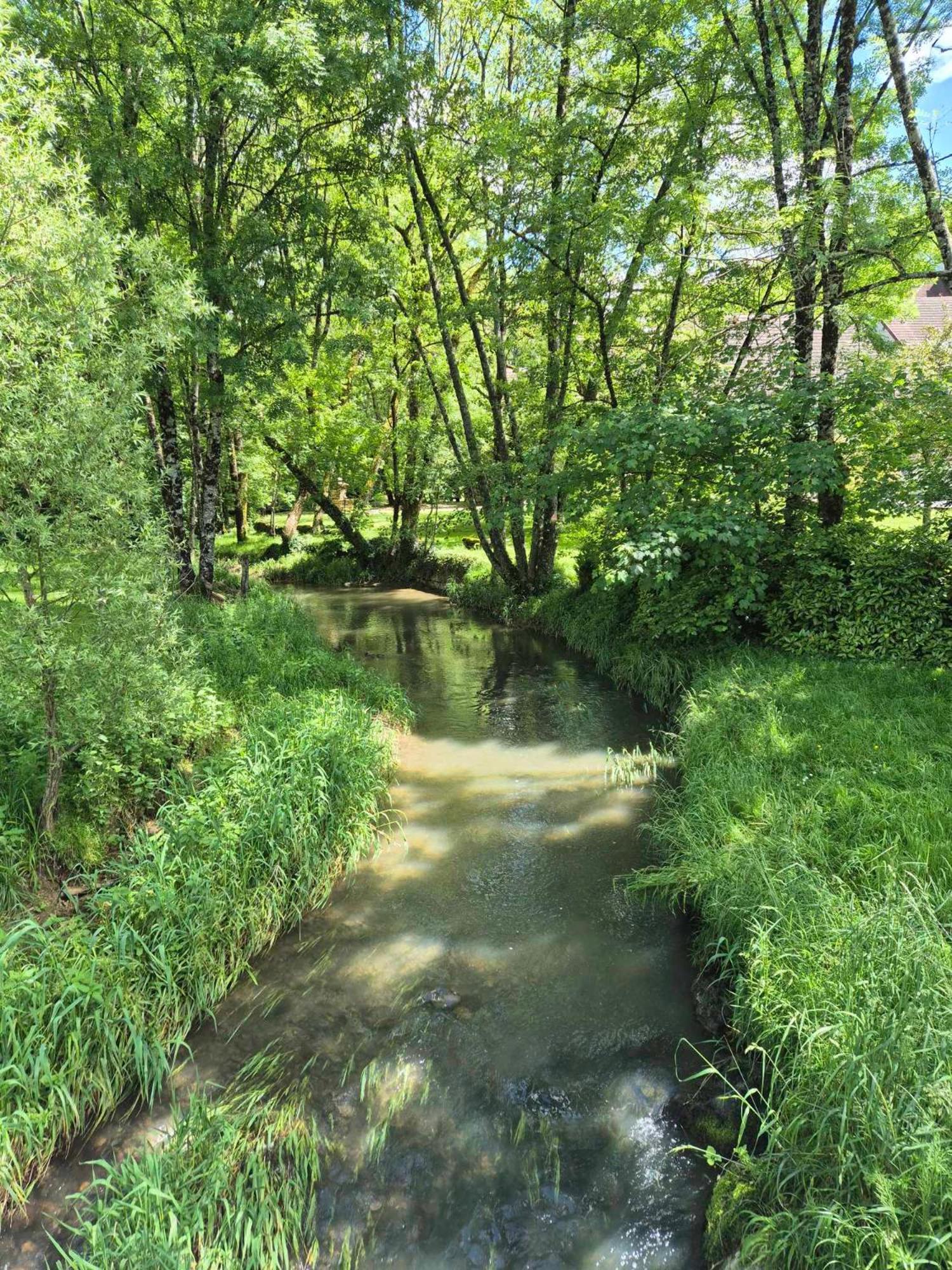 Au Lavoir Du Serein "L'Eventail" Saint-Germain-lès-Arlay Екстериор снимка