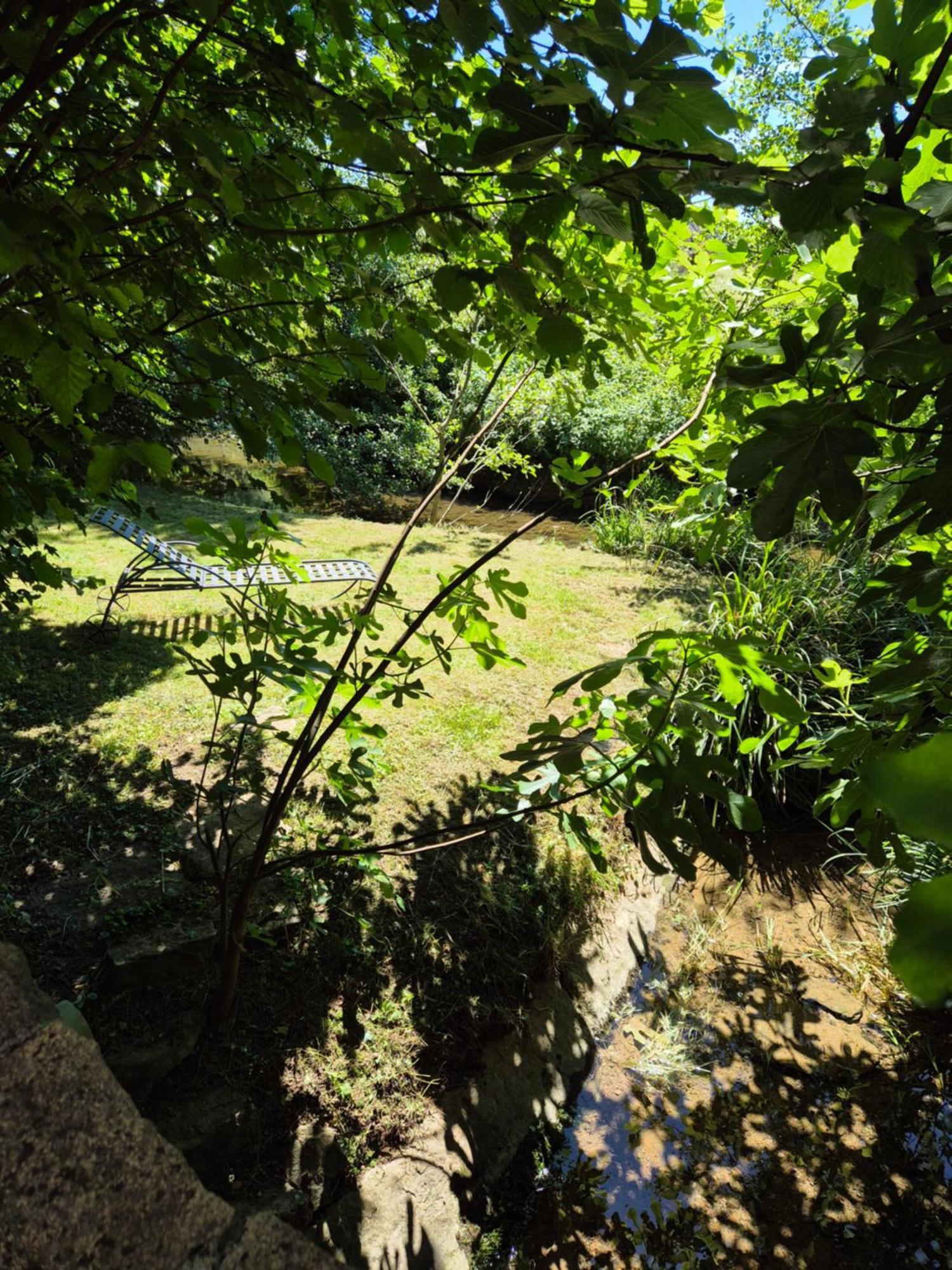 Au Lavoir Du Serein "L'Eventail" Saint-Germain-lès-Arlay Екстериор снимка